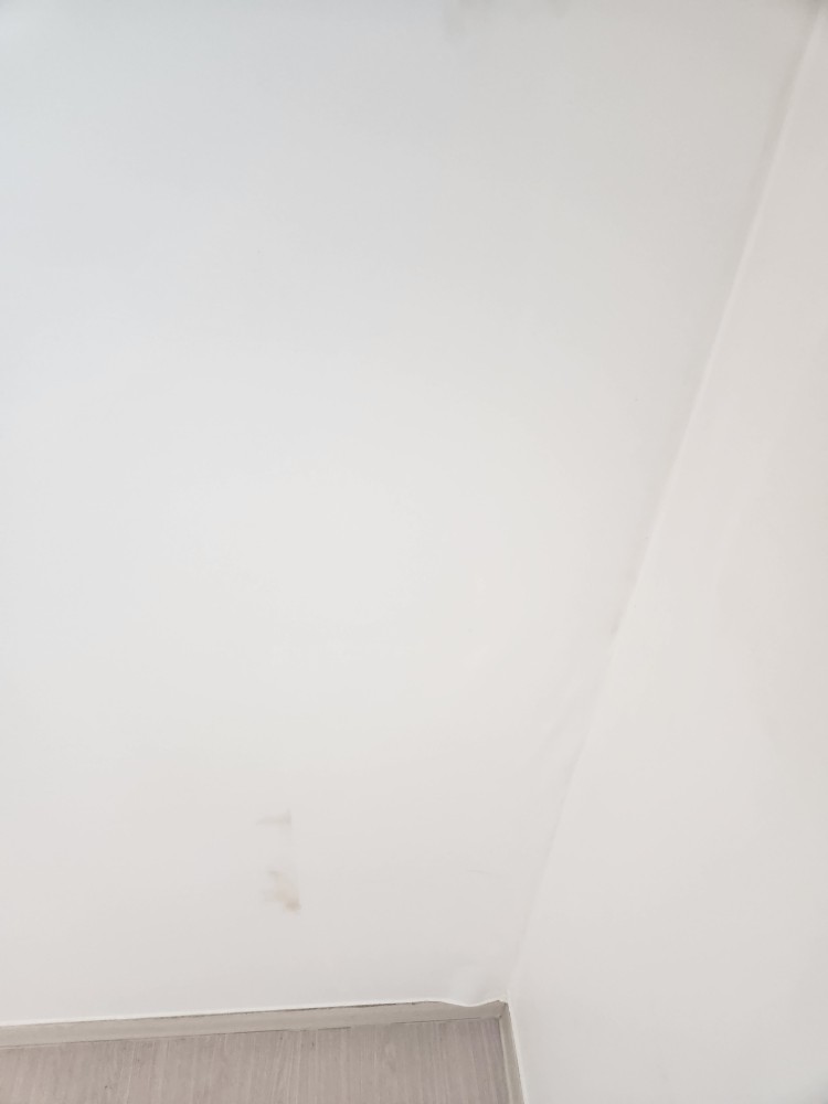 4e52a4269425969af34263dc465275bf_1786460069_4341.jpg